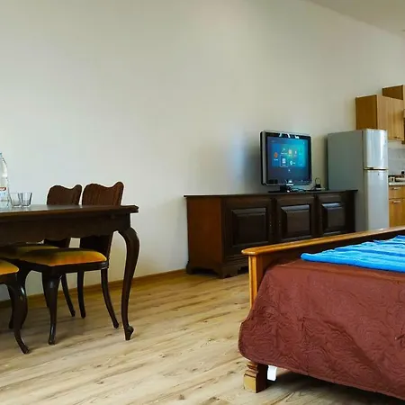 Lejlighed City Center Rent With Free Parking N44